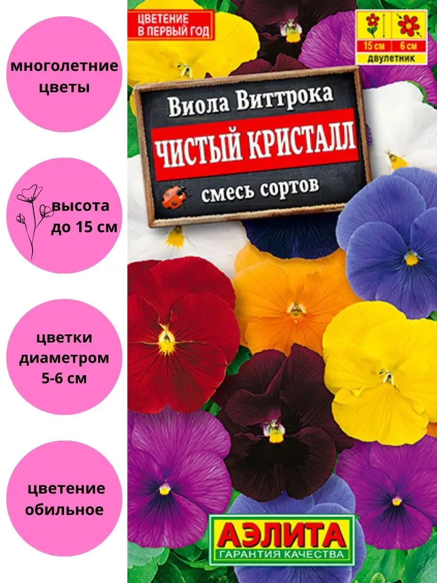 Семена Виолы Купить В Интернет Магазине
