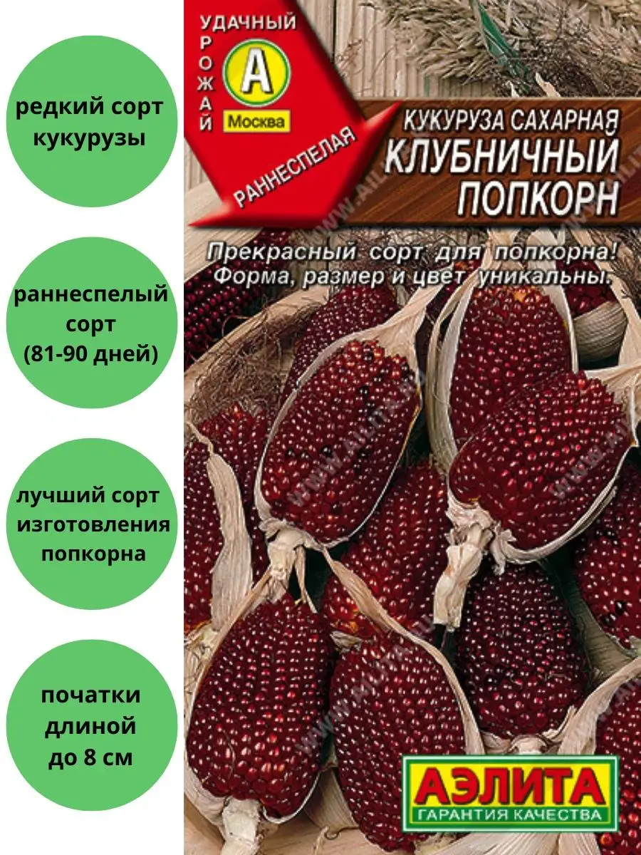 Кукуруза Клубничный попкорн сахарная Агрофирма Аэлита 110177417 купить за  120 ₽ в интернет-магазине Wildberries