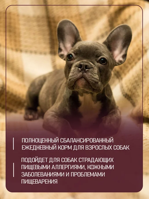 Сухой корм Gina Сербия Пищеварение для собак, чувствительное пищеварение, 1,05 кг, фото 2