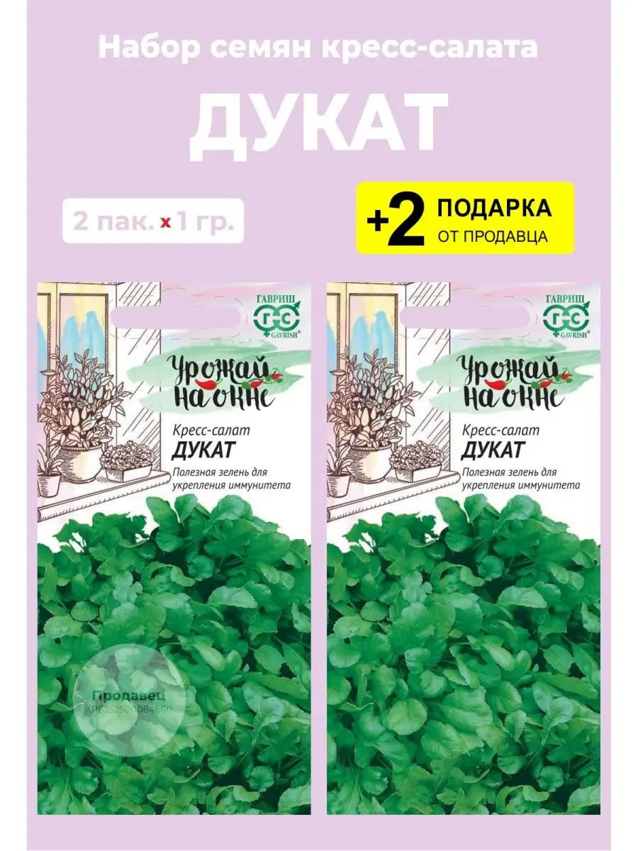 Семена кресс-салат Дукат, 1 гр + 2 Подарка