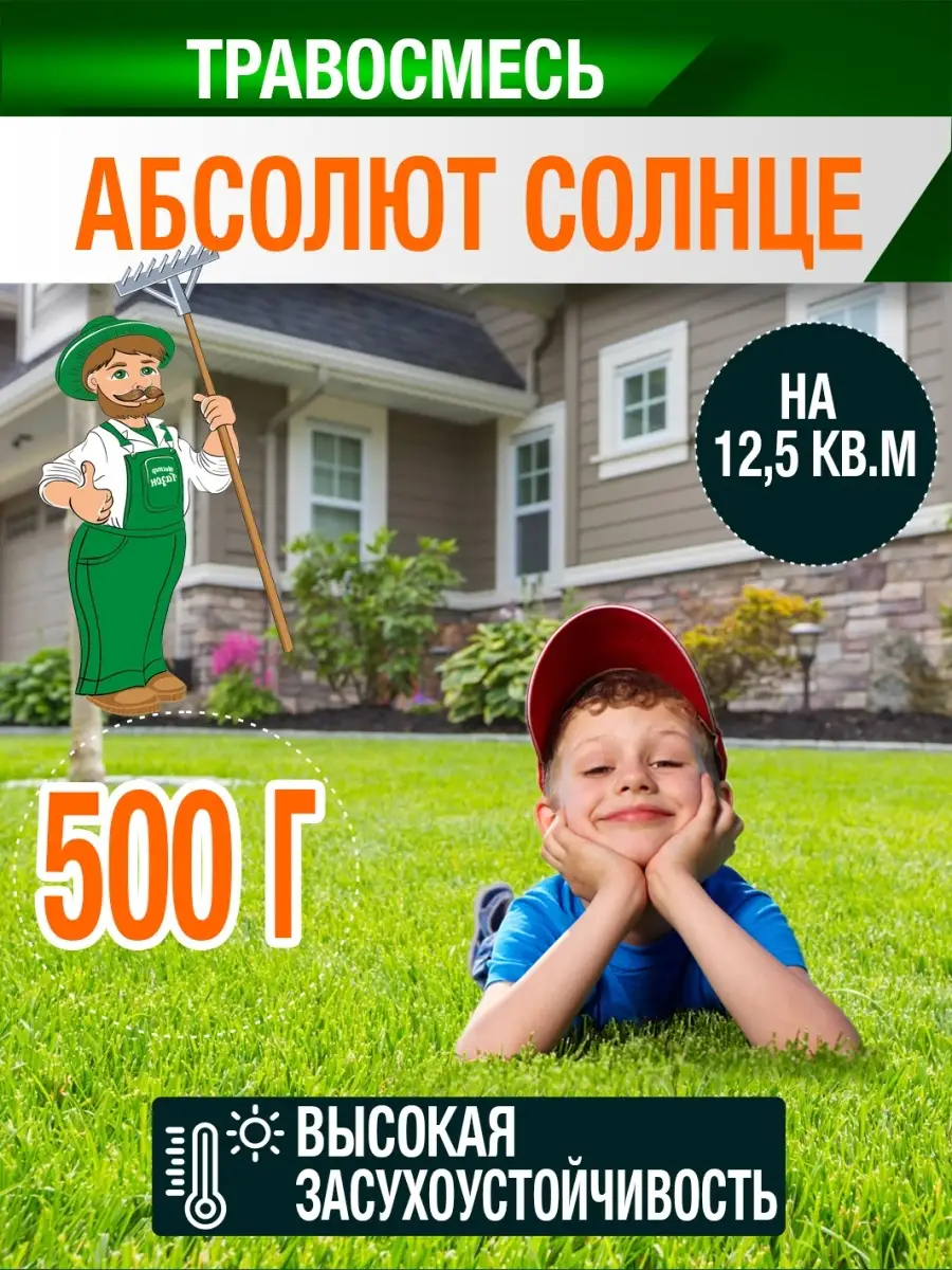 Газонная трава, многолетний газон 500г AbsoluteGreen 110328369 купить за  287 ₽ в интернет-магазине Wildberries