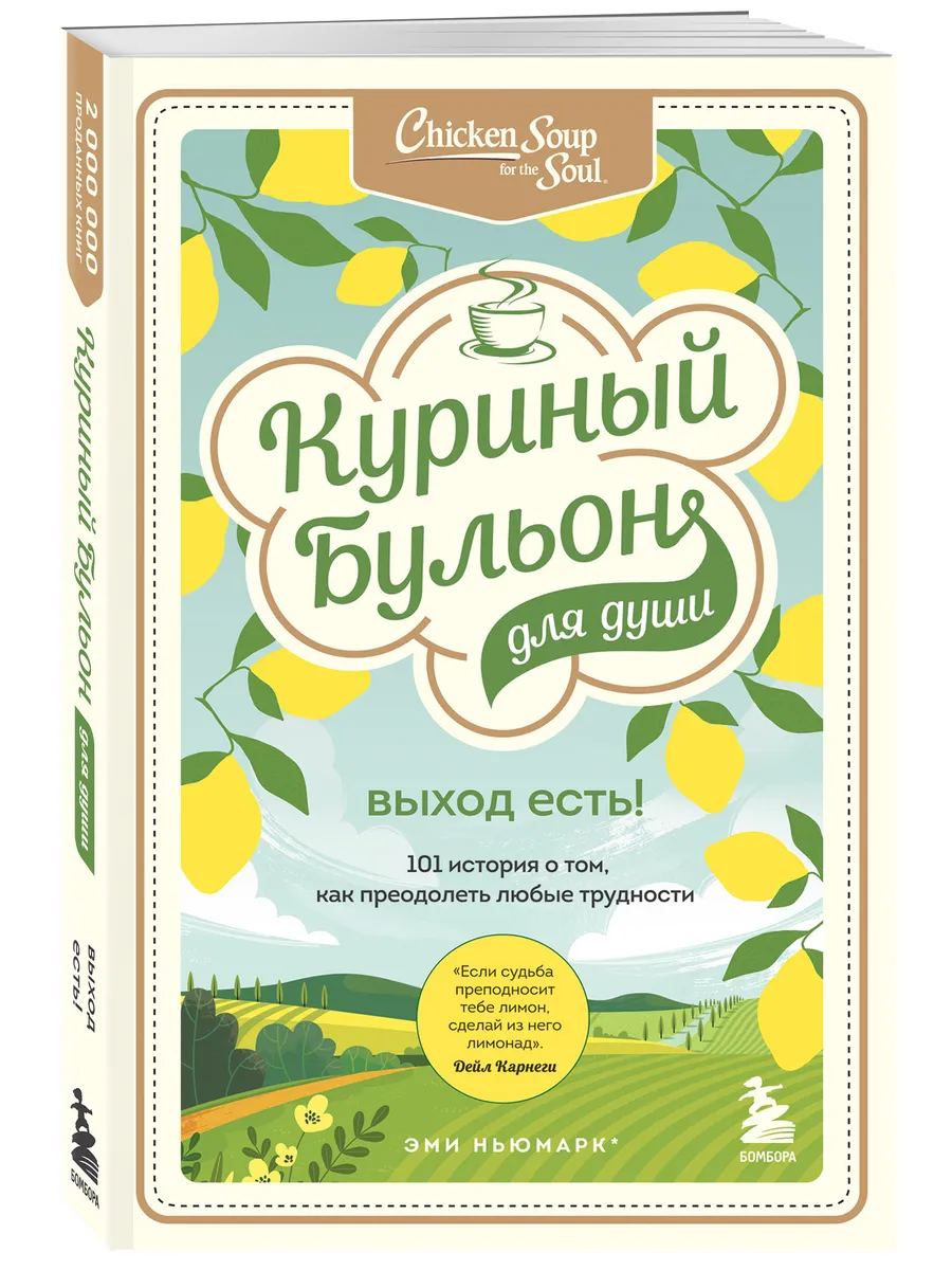 Куриный бульон для души....
