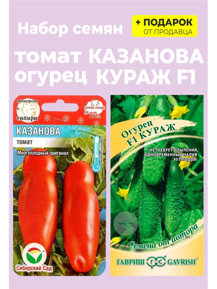 Томат куртизанка описание сорта