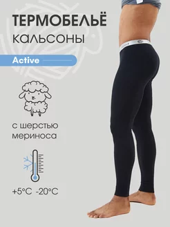 Термобелье кальсоны зимние спортивные с шерстью Active Dr.Wool 110432962 купить за 1 485 ₽ в интернет-магазине Wildberries