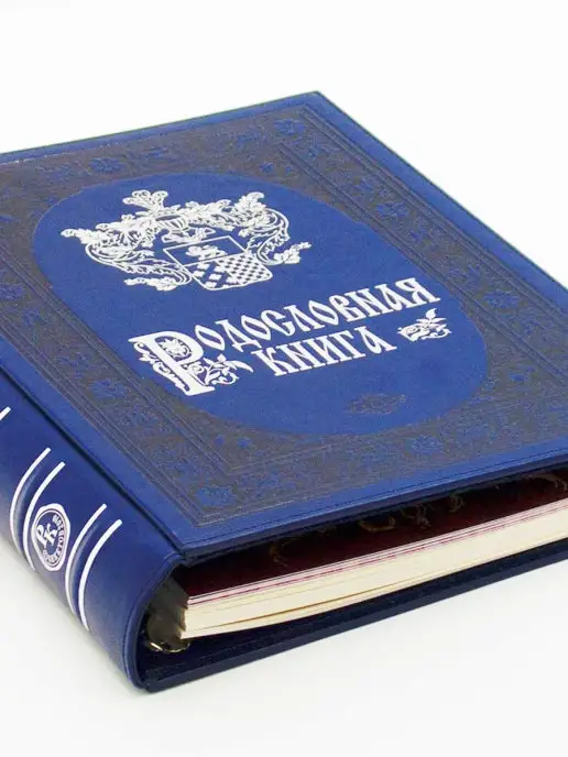 Книжный дом Бекетова Родословная книга Лазурит (А4) в подарочной упаковке, синий, фото 4