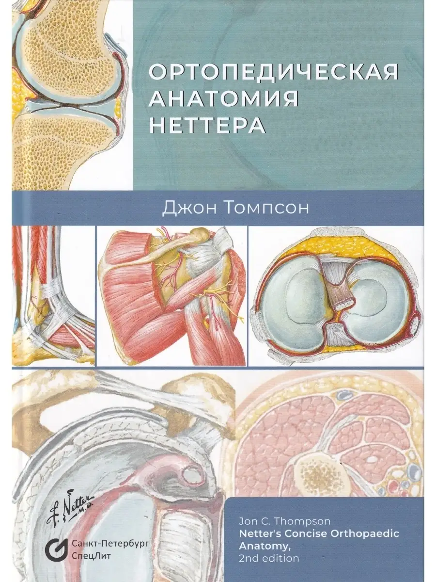 Ортопедическая анатомия Неттера СпецЛит 110537175 купить за 3 122 ₽ в  интернет-магазине Wildberries