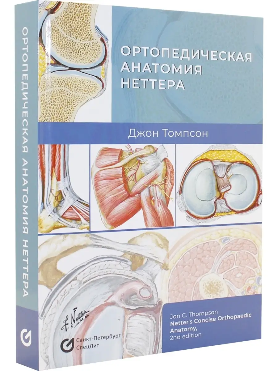 Ортопедическая анатомия Неттера СпецЛит 110537175 купить за 2 907 ₽ в  интернет-магазине Wildberries