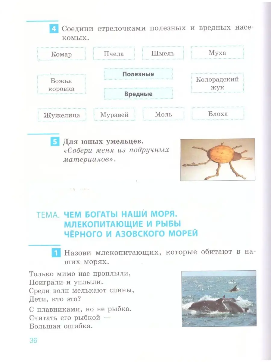 Крымоведение. 2 класс: Рабочая тетрадь Наша школа 110724841 купить за 437 ₽  в интернет-магазине Wildberries