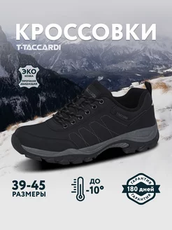 Кроссовки спортивные T.TACCARDI 110728165 купить за 3 196 ₽ в интернет-магазине Wildberries