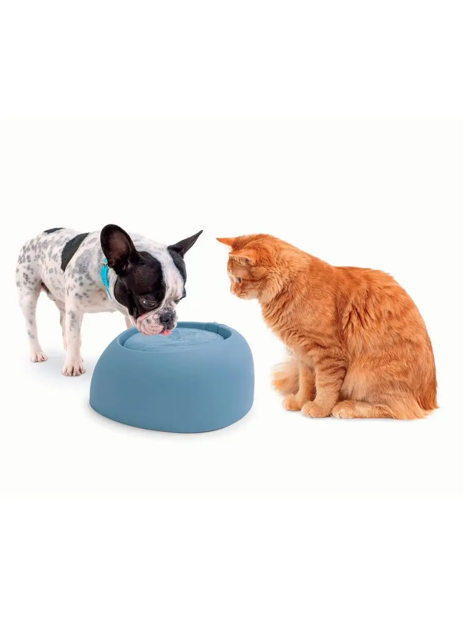 Imac best sale pet fountain