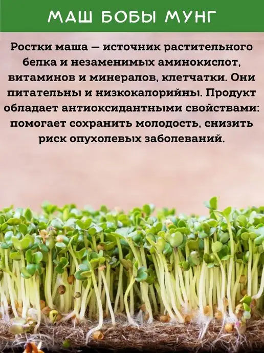 DONA NUTS Маш крупа для проращивания 1кг. Бобы мунг, 1 кг, фото 4