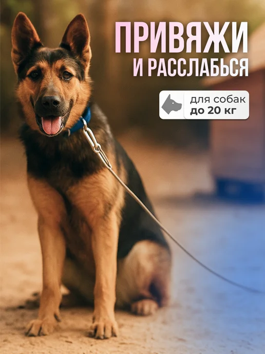 Zoowell Привязь уличная для собак 5 метров, 5 м, фото 3