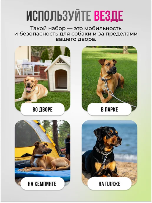 Zoowell Привязь уличная для собак 5 метров, 5 м, фото 7