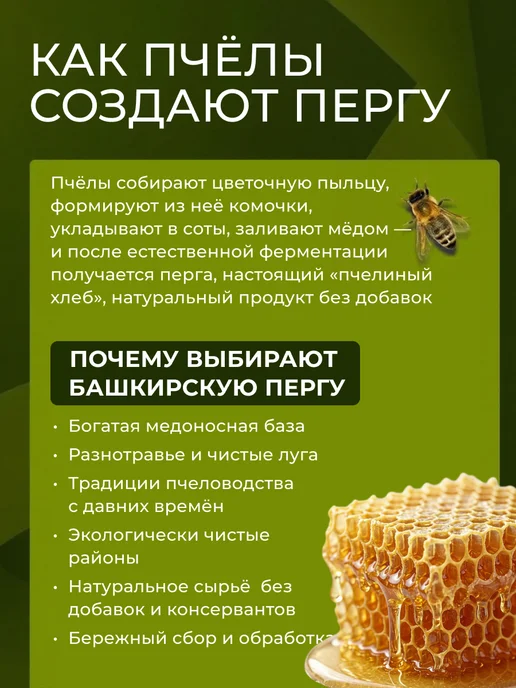 АЛТЫН СОЛОК Башкирская перга пчелиная натуральная, сбор 2026, вариант, фото 2
