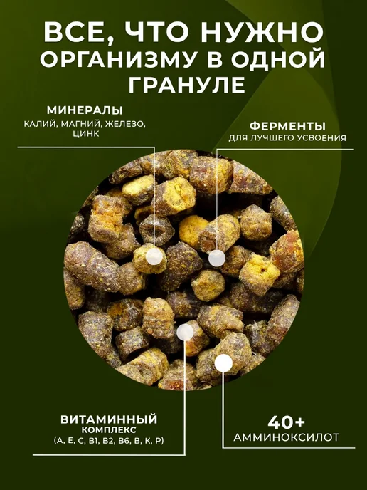 АЛТЫН СОЛОК Башкирская перга пчелиная натуральная, сбор 2026, вариант, фото 3