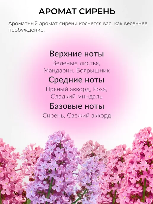 areon Ароматизатор в машину в баночке под сиденье Сирень, фиолетовый, фото 4