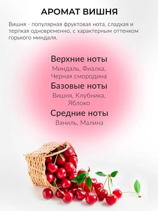 areon Ароматизатор в машину в баночке под сиденье Вишня, вариант, фото 3