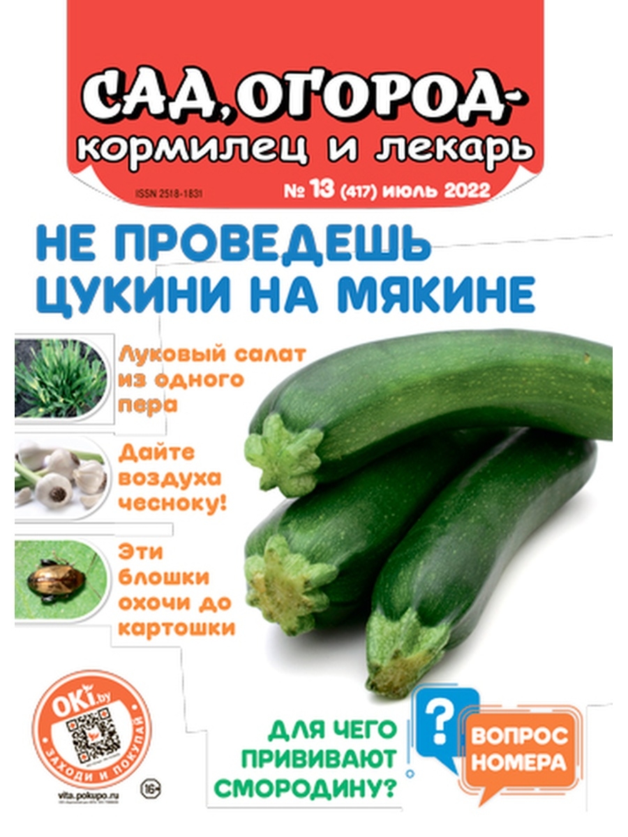 Лекарь 13. Огурцы в магазине. Сад и огород российский журнал. Сад-и-огород интернет. Дача огород сад магазин.