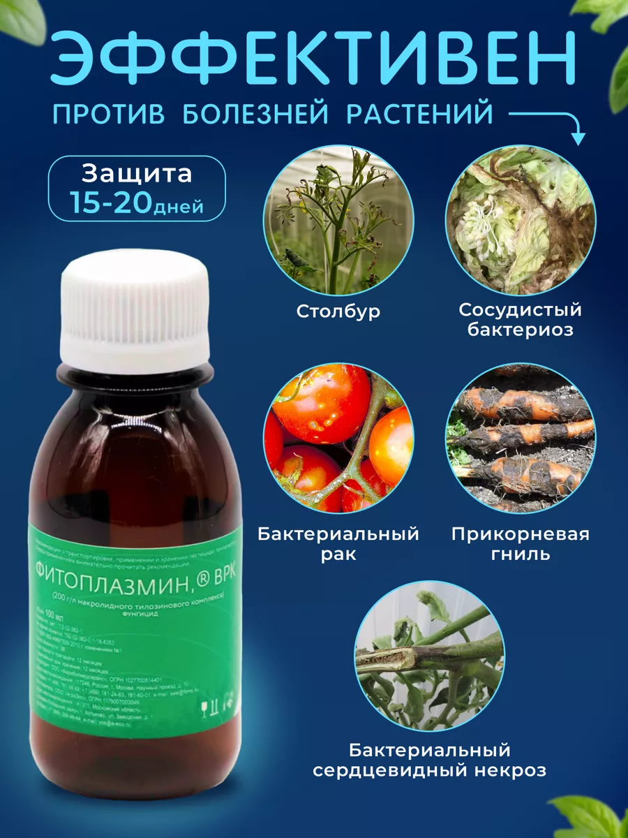 Фитоплазмин ВРК 100 мл. PharmBioMed 111252065 купить за 802 ₽ в  интернет-магазине Wildberries