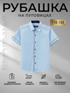 Рубашка школьная на выпускной MiLi 111294874 купить за 1 554 ₽ в интернет-магазине Wildberries