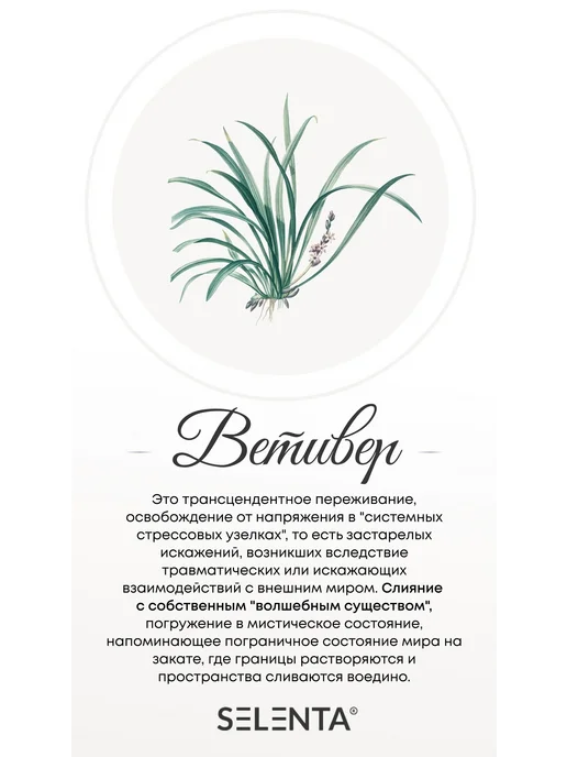 Selenta Эфирное масло Ветивера 100% 10мл, 30 мл, фото 2