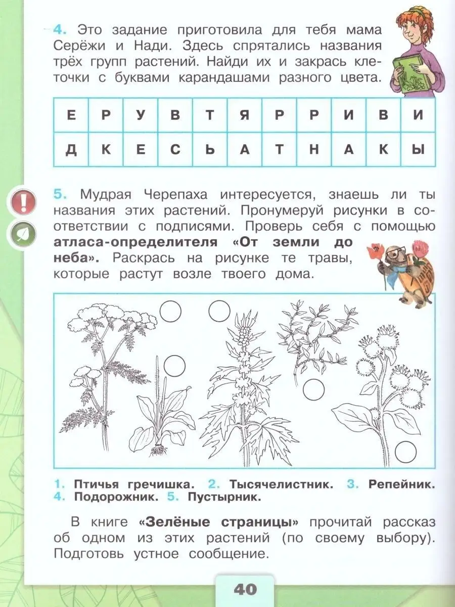 Набор: 5 комплектов рабочих тетрадей. Окружающий мир 2 класс Просвещение  111316827 купить в интернет-магазине Wildberries