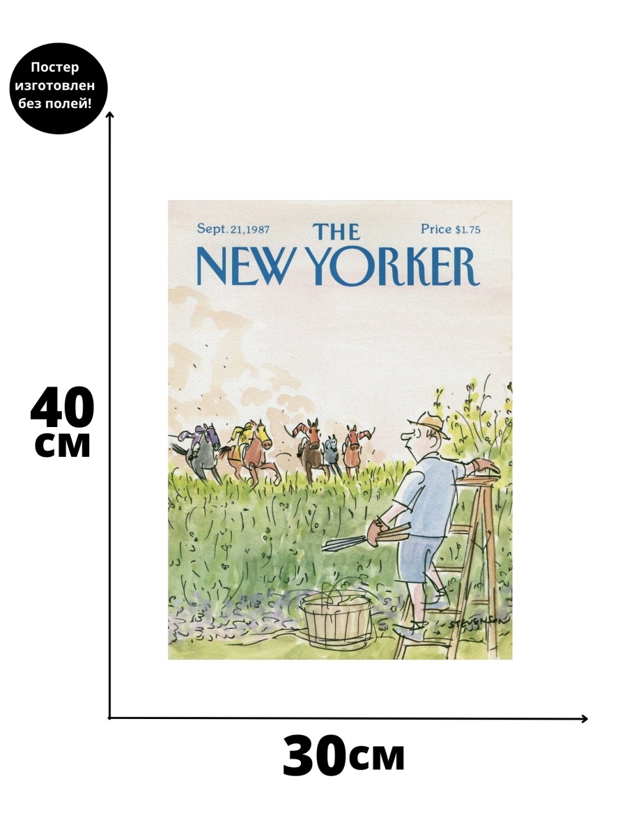 Карта New Yorker. Скидочная карта New Yorker. New Yorker Размеры. New Yorker пакет. New yorker отзывы