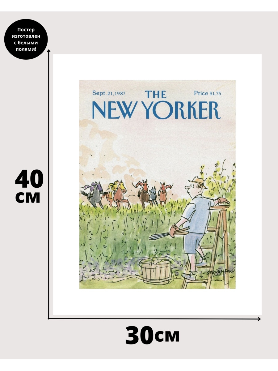 New yorker отзывы. Нью йоркер. New Yorker Размеры. Ботильоны New Yorker. Топ New Yorker.