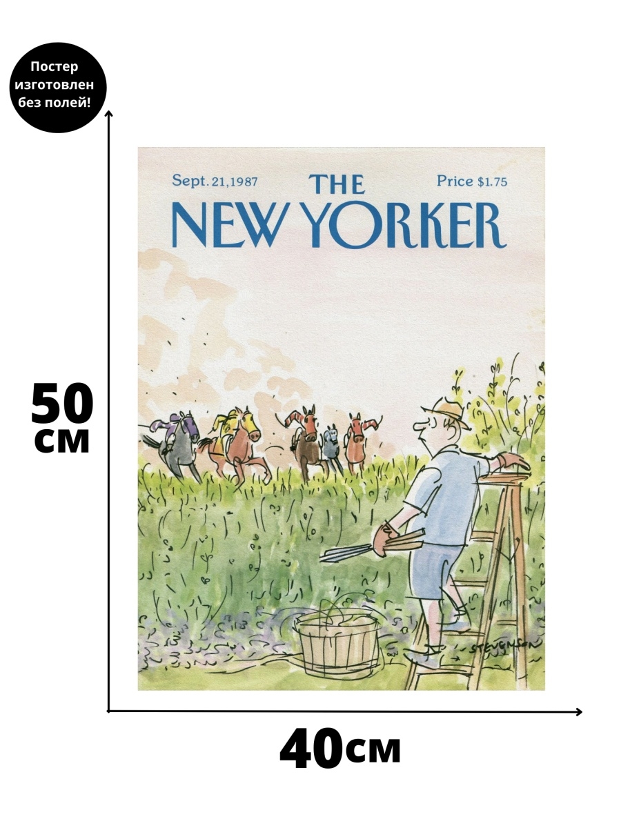 New yorker отзывы. Часы New Yorker. Носки New Yorker. New Yorker пакет. Жилет New Yorker.