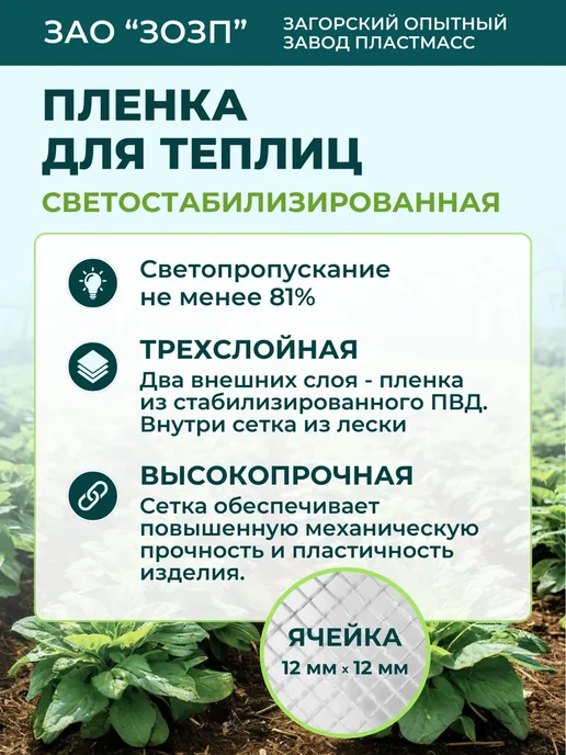 ЗОЗП Пленка армированная леской 200гр. кв.м. 2х5метра, 2x5, 200 г, фото 2