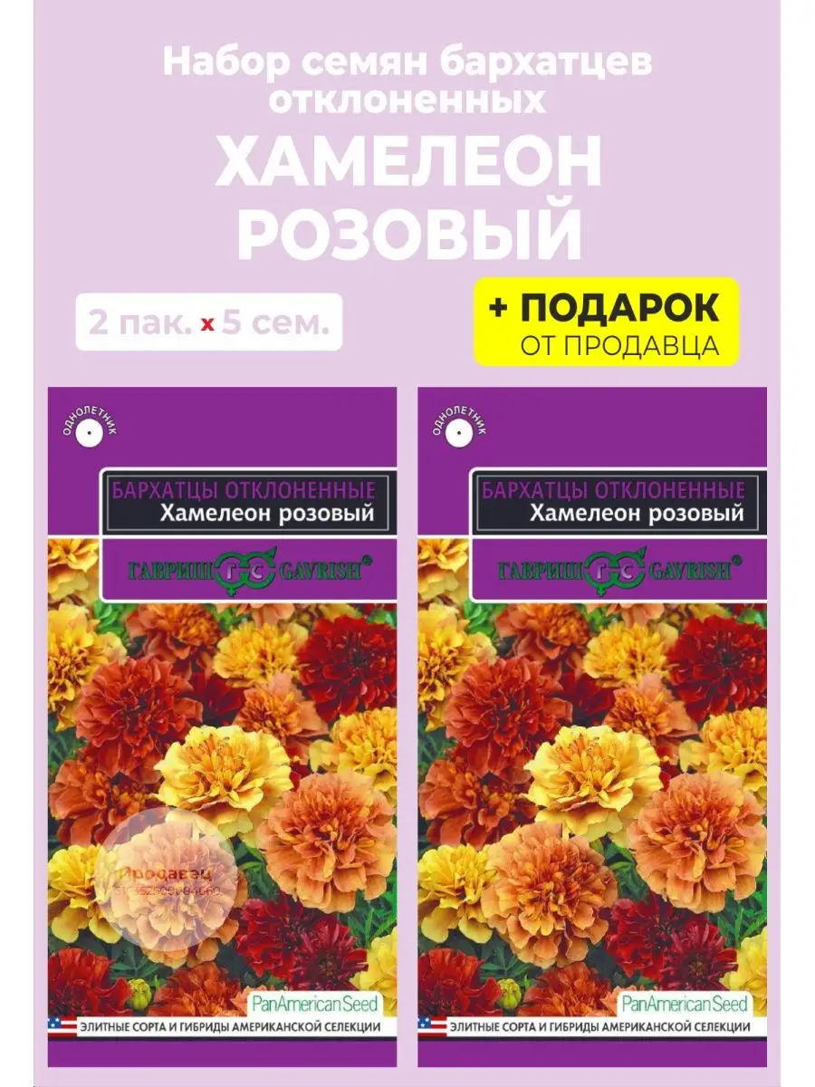 Семена бархатцы "Розовый Хамелеон"